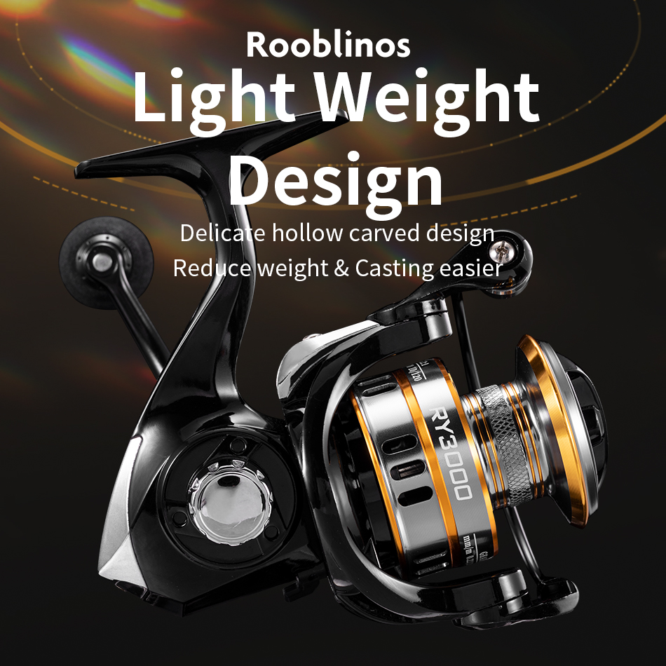 Ry Spinning Rollen Salzwasser- – Daiwa Reel Bg Bewertung und Preis